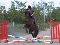 IMG_0560_web